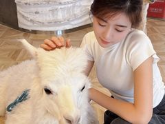 -Blue Concept Cafe&Farm·關於藍