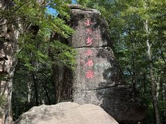 -汤旺河林海奇石景区