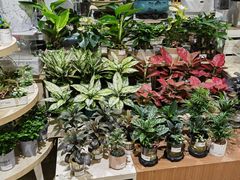 -AEON永旺(东方宝泰店)