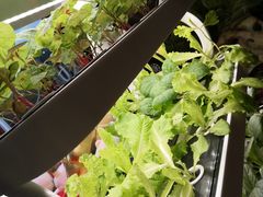 -福禄财东北菜(珠江帝景店)