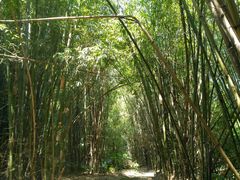 -清远鱼水旅游风景度假区