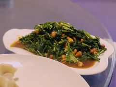 老醋菠菜-东北饺子王(港澳广场购物中心店)