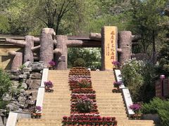 -百里山水画廊乌龙峡谷