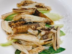 蟹柳芦笋-新光酒家·河豚·海鲜·蟹料理(浦东店)