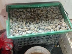 -花园菜市场