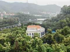 -银湖山郊野公园-相思林