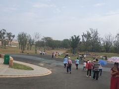 -盘龙城国家考古遗址公园