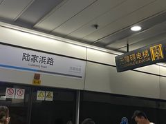 -陆家浜路(地铁站)