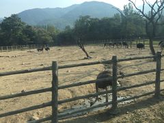 -西安秦岭野生动物园