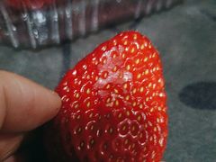 -果多美(三里河店)