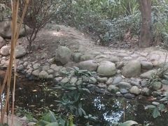 -成都市活水公园