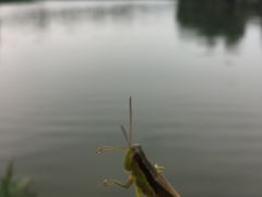 -白鹭湾湿地公园