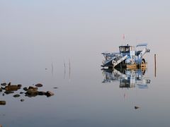 -贡湖湾湿地公园