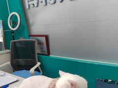 -博特宠物医院24h犬猫全科.骨科·异宠