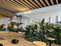 -Seesaw Coffee(朝阳大悦城店)