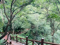 -大岭沟猕猴桃谷风景区