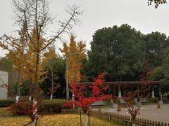 -南京中国近代史遗址博物馆(南京总统府)