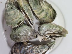 清蒸蒜蓉生蚝-星奇缘·海鲜餐厅(东山美食地标店)