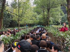 -韶山毛泽东同志故居