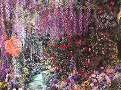 -正佳雨林生态植物园