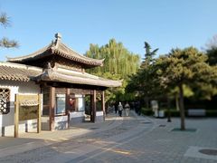 -团结湖公园
