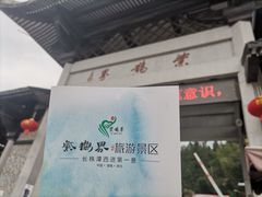 -紫鹊界梯田景区