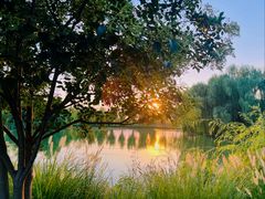 -兰陵国家农业公园