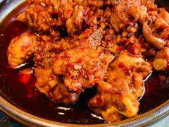 -志晖园圆子鸡·辣子鸡(阳光店)