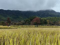 -塔川景区