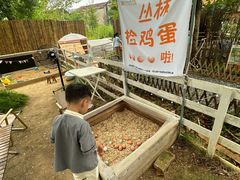 -HERRE·FARM 赫尔露营农场·团建聚会包场