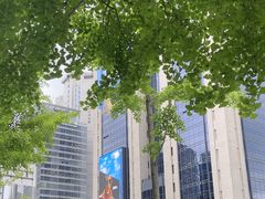 -新世界百货(明洞总店)