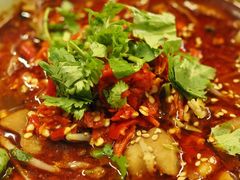 肥肠苕粉-脑馋粉儿(三里屯店)