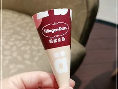 -哈根达斯(石家庄北国店)