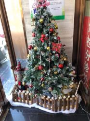 -比华利美容医院