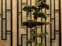 -龙宴海鲜城(经中路店)