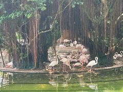 -九龙公园
