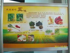 北京观光南瓜园&nbsp;(54)-观光南瓜园