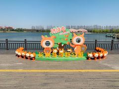 -上海长兴岛郊野公园