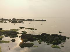 -海岛日记(养马岛店)
