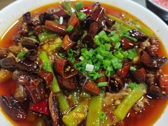 -双流老字号董蹄花(广场路店)