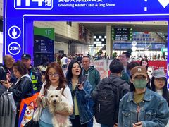 -东浩兰生上海世博展览馆