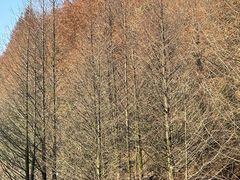 -山王坪喀斯特国家生态公园