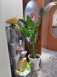 -卡尔诗·科技美肤连锁