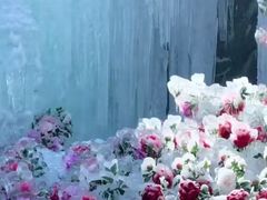 -洛阳白云山景区