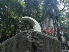 -七仙岭温泉国家森林公园