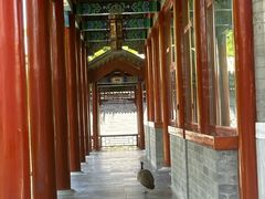 -有喜胶东小馆(太申祥和店)