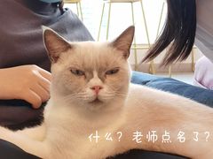 -泰国佛·塔罗·泰牌狐仙古曼