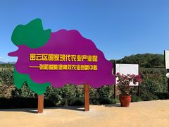 -北京张裕爱斐堡酒庄