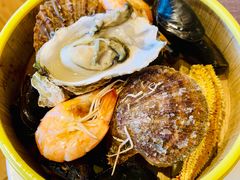 -齐河孔雀王温泉酒店·金孔雀自助百汇