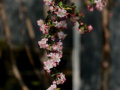 -南长河公园